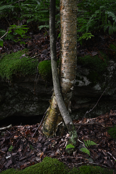 Worlds End State Park