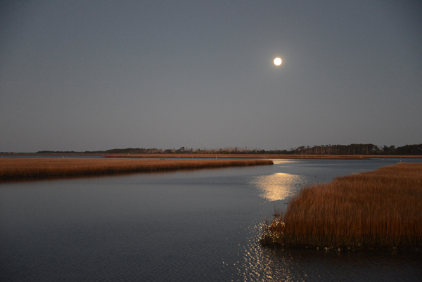 Assateague, Virginia