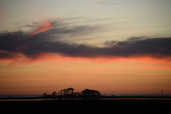 Assateague, Virginia