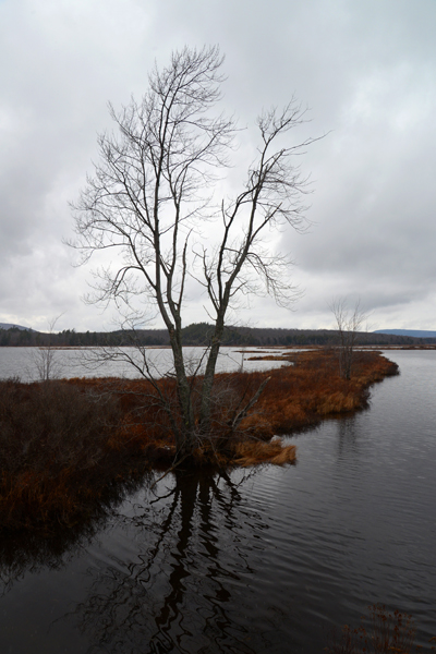 Tubber Lake NY