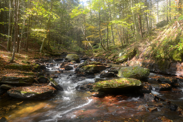 Worlds End State Park