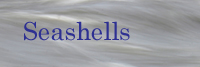 Link to Seashell page